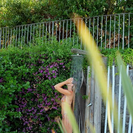 公寓 To With 伊斯基亚