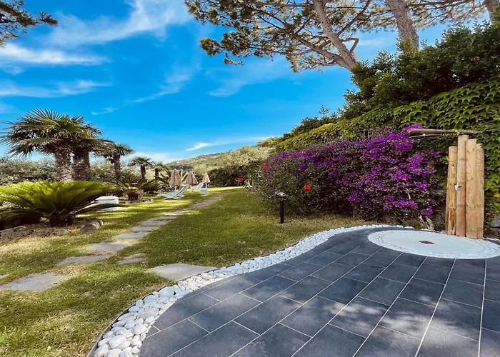 To With 伊斯基亚